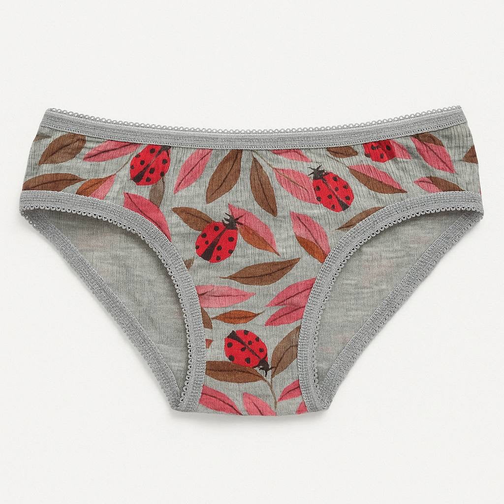 Girls’ Grey Cotton Hipster Underwear(Pack of 3)