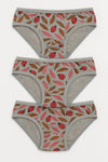 Girls’ Grey Cotton Hipster Underwear(Pack of 3)